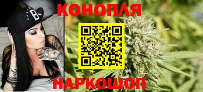 Альфа ПВП Краснознаменск