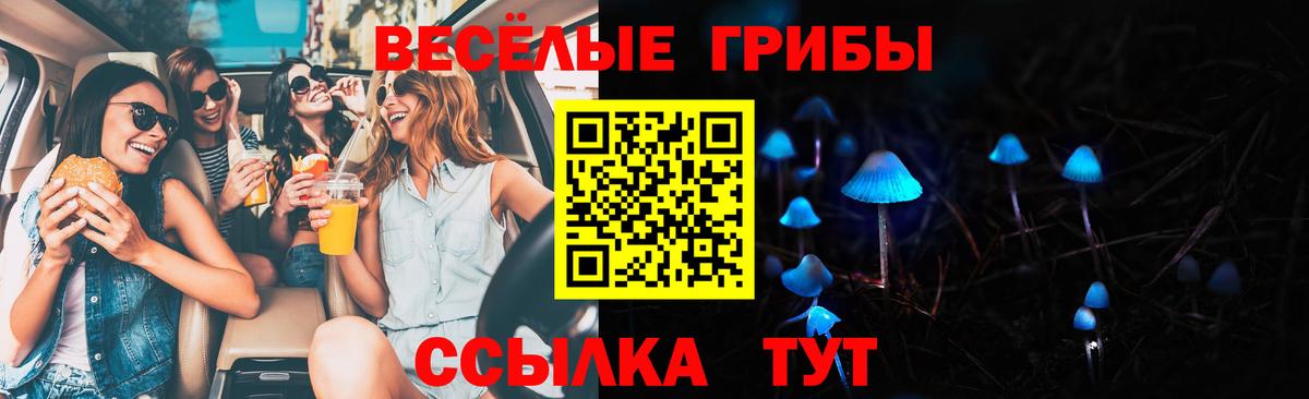 Галлюциногенные грибы Cubensis  Псилоцибиновые грибы MAGIC MUSHROOMS  Протвино  Вход с VPN 